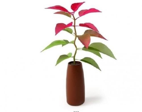 հ죺ˮϵȫͨ ˳ǡø˾